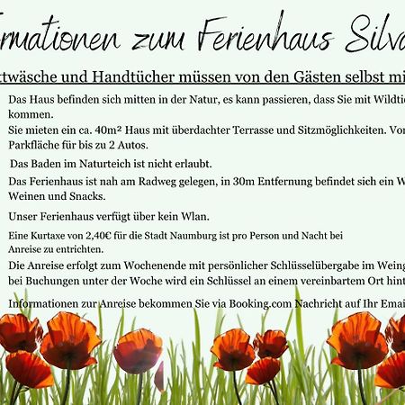 Ferienhaus Silvaner Naumburg  Luaran gambar